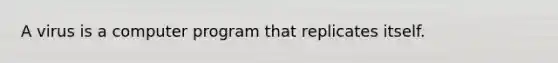 A virus is a computer program that replicates itself.