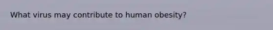 What virus may contribute to human obesity?