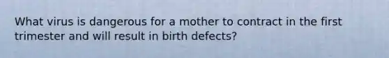 What virus is dangerous for a mother to contract in the first trimester and will result in birth defects?