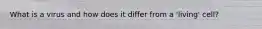 What is a virus and how does it differ from a 'living' cell?