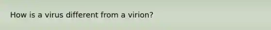 How is a virus different from a virion?