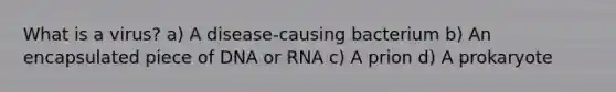 What is a virus? a) A disease-causing bacterium b) An encapsulated piece of DNA or RNA c) A prion d) A prokaryote