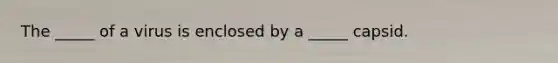 The _____ of a virus is enclosed by a _____ capsid.