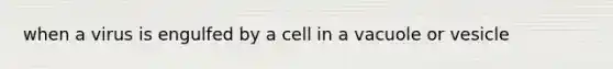 when a virus is engulfed by a cell in a vacuole or vesicle