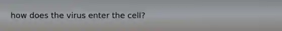 how does the virus enter the cell?