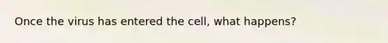 Once the virus has entered the cell, what happens?