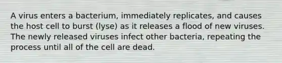 A virus enters a bacterium, immediately replicates, and causes the host cell to burst (lyse) as it releases a flood of new viruses. The newly released viruses infect other bacteria, repeating the process until all of the cell are dead.