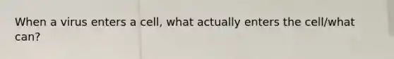When a virus enters a cell, what actually enters the cell/what can?