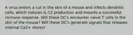 A virus enters a cut in the skin of a mouse and infects dendritic cells, which induces IL-12 production and mounts a successful immune response. Will these DC's encounter naive T cells in the skin of the mouse? Will these DC's generate signals that releases internal Ca2+ stores?