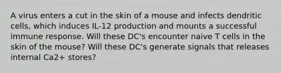 A virus enters a cut in the skin of a mouse and infects dendritic cells, which induces IL-12 production and mounts a successful immune response. Will these DC's encounter naive T cells in the skin of the mouse? Will these DC's generate signals that releases internal Ca2+ stores?