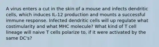 A virus enters a cut in the skin of a mouse and infects dendritic cells, which induces IL-12 production and mounts a successful immune response. Infected dendritic cells will up regulate what costimularity and what MHC molecule? What kind of T cell lineage will naive T cells polarize to, if it were activated by the same DC's?