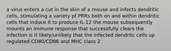 a virus enters a cut in the skin of a mouse and infects dendritic cells, stimulating a variety pf PRRs both on and within dendritic cells that induce it to produce IL-12 the mouse subsequently mounts an immune response that successfully clears the infection is it likely/unlikely that the infected dendritc cells up regulated CD80/CD86 and MHC class 2