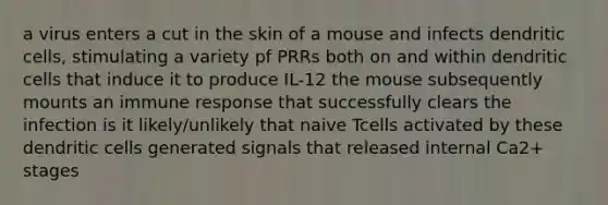 a virus enters a cut in the skin of a mouse and infects dendritic cells, stimulating a variety pf PRRs both on and within dendritic cells that induce it to produce IL-12 the mouse subsequently mounts an immune response that successfully clears the infection is it likely/unlikely that naive Tcells activated by these dendritic cells generated signals that released internal Ca2+ stages