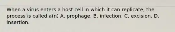 When a virus enters a host cell in which it can replicate, the process is called a(n) A. prophage. B. infection. C. excision. D. insertion.