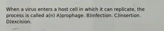 When a virus enters a host cell in which it can replicate, the process is called a(n) A)prophage. B)infection. C)insertion. D)excision.