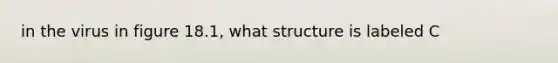 in the virus in figure 18.1, what structure is labeled C