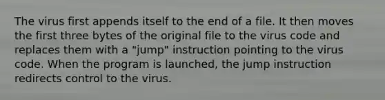 The virus first appends itself to the end of a file. It then moves the first three bytes of the original file to the virus code and replaces them with a "jump" instruction pointing to the virus code. When the program is launched, the jump instruction redirects control to the virus.