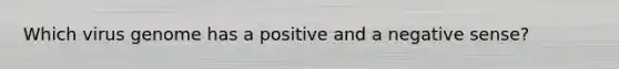 Which virus genome has a positive and a negative sense?