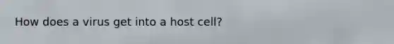 How does a virus get into a host cell?