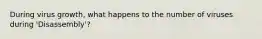 During virus growth, what happens to the number of viruses during 'Disassembly'?
