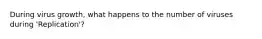 During virus growth, what happens to the number of viruses during 'Replication'?