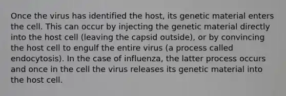 Once the virus has identified the host, its genetic material enters the cell. This can occur by injecting the genetic material directly into the host cell (leaving the capsid outside), or by convincing the host cell to engulf the entire virus (a process called endocytosis). In the case of influenza, the latter process occurs and once in the cell the virus releases its genetic material into the host cell.​