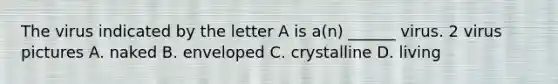 The virus indicated by the letter A is a(n) ______ virus. 2 virus pictures A. naked B. enveloped C. crystalline D. living