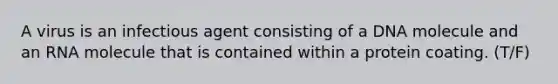 A virus is an infectious agent consisting of a DNA molecule and an RNA molecule that is contained within a protein coating. (T/F)