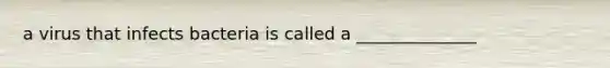 a virus that infects bacteria is called a ______________
