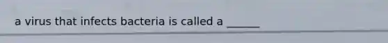 a virus that infects bacteria is called a ______