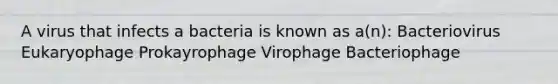 A virus that infects a bacteria is known as a(n): Bacteriovirus Eukaryophage Prokayrophage Virophage Bacteriophage