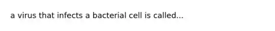 a virus that infects a bacterial cell is called...