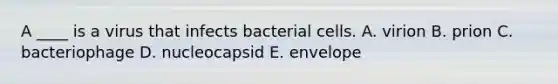 A ____ is a virus that infects bacterial cells. A. virion B. prion C. bacteriophage D. nucleocapsid E. envelope