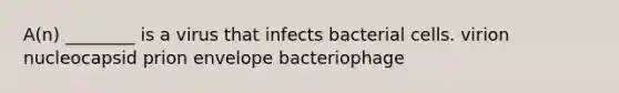 A(n) ________ is a virus that infects bacterial cells. virion nucleocapsid prion envelope bacteriophage