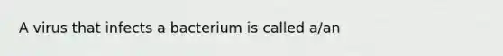 A virus that infects a bacterium is called a/an