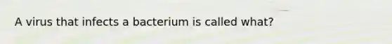 A virus that infects a bacterium is called what?