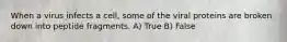 When a virus infects a cell, some of the viral proteins are broken down into peptide fragments. A) True B) False