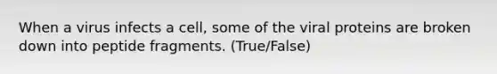 When a virus infects a cell, some of the viral proteins are broken down into peptide fragments. (True/False)