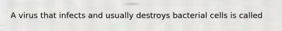 A virus that infects and usually destroys bacterial cells is called