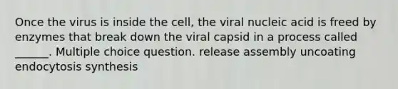 Once the virus is inside the cell, the viral nucleic acid is freed by enzymes that break down the viral capsid in a process called ______. Multiple choice question. release assembly uncoating endocytosis synthesis