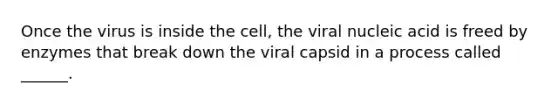 Once the virus is inside the cell, the viral nucleic acid is freed by enzymes that break down the viral capsid in a process called ______.