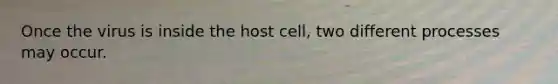 Once the virus is inside the host cell, two different processes may occur.