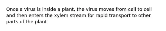 Once a virus is inside a plant, the virus moves from cell to cell and then enters the xylem stream for rapid transport to other parts of the plant