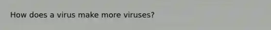 How does a virus make more viruses?