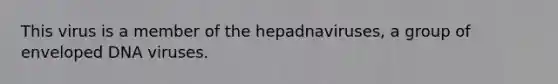 This virus is a member of the hepadnaviruses, a group of enveloped DNA viruses.