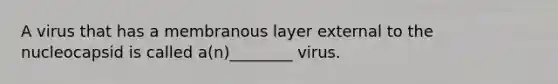 A virus that has a membranous layer external to the nucleocapsid is called a(n)________ virus.