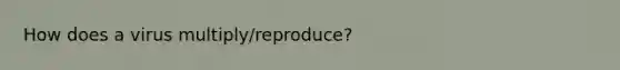 How does a virus multiply/reproduce?