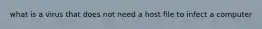 what is a virus that does not need a host file to infect a computer