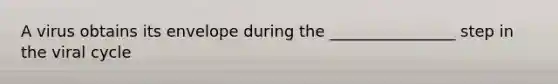 A virus obtains its envelope during the ________________ step in the viral cycle