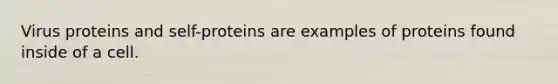 Virus proteins and self-proteins are examples of proteins found inside of a cell.